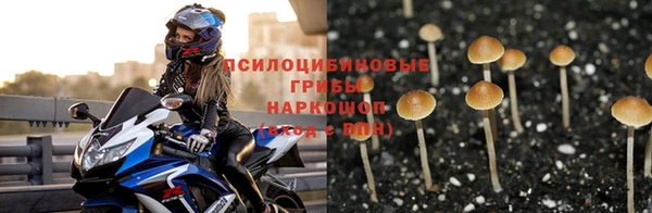 соль курить ск Михайлов