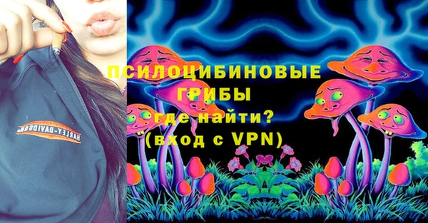 ГАЛЛЮЦИНОГЕННЫЕ ГРИБЫ Новочеркасск