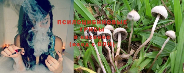 винт Михайловск