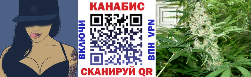 Каннабис индика  цена   Хасавюрт 